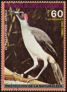 Equatorial Guinea sw1263 - Cto - 60pt Grey-necked Rockfowl (1976)