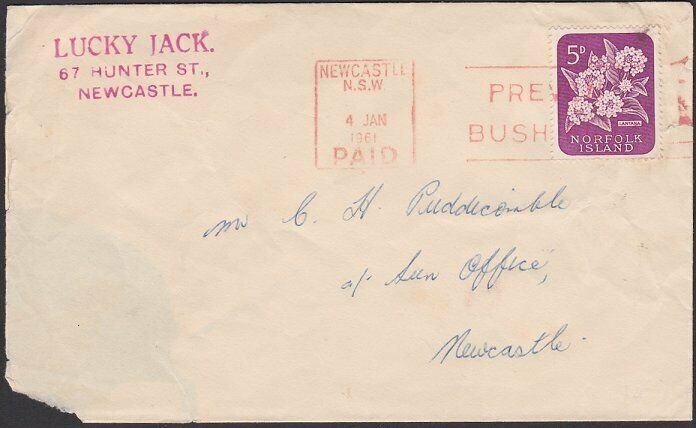 NORFOLK ISLAND USED IN AUSTRALIA 1961 cover locally within Newcastle........C751
