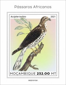 Mozambique 2021 MNH African Birds on Stamps African Goshawk Raptors 1v S/S I