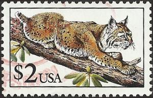 # 2482 USED BOBCAT