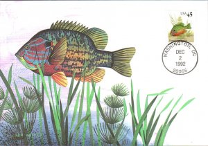 #2481 Pumpkinseed Sunfish Maxi FDC
