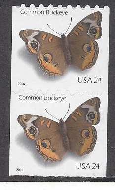 Catalog #4002 Common Buckeye Butterfly 24 cent Stamp Coil pair