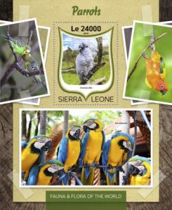 SIERRA LEONE 2016 SHEET PARROTS BIRDS srl16814b
