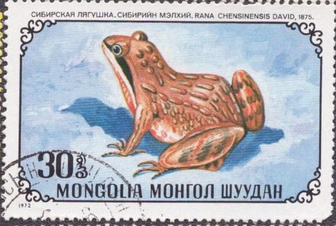 Mongolia 680 1972 Used