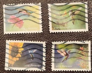 US Scott # 5845-5848; 4 used (73c) Hummingbirds issued 2024; VF/XF; off paper