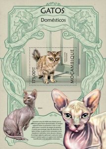 2013 MOZAMBIQUE  MNH. CATS   |  Michel Code: 6298 / Bl.710  |  Scott Code: 2805