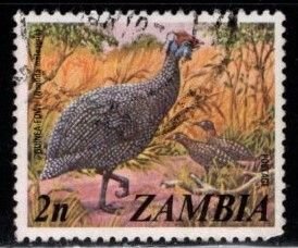 Zambia - #136 Guinea Fowl - Used