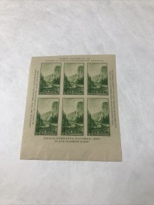 US 769 Yosemite 1C Souvenir Sheet Original Gum Mint Never Hinged  SCARCE