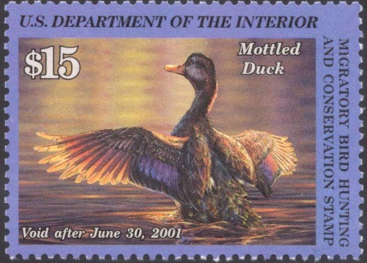 RW67, Mottled Duck Federal Duck Stamp VF OG NH - LOW PRICE! - Stuart Katz