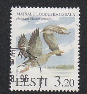 Estonia # 284, Nature Reserve - Birds, Used,
