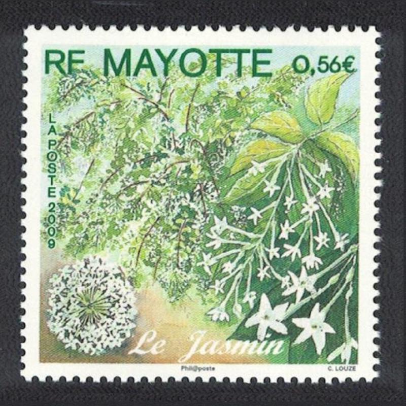 Mayotte Jasmine 1v SG#252