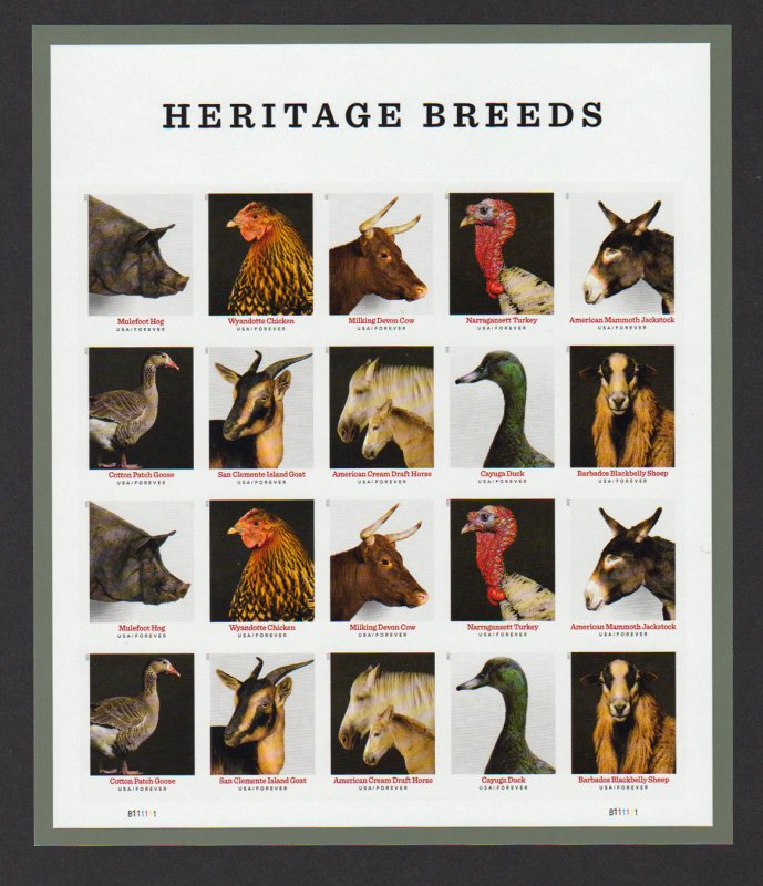 US 5583-5592 Imperf Without / No Die Cut NDC 2021 Heritage Breeds Pane of 20 #C