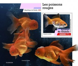Guinea Fish Stamps 2020 MNH Goldfish Fishes Domestic Animals Pets 1v S/S