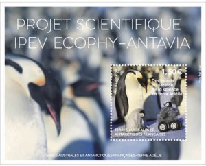 FSAT Scott #674 Penguins S/S MNH