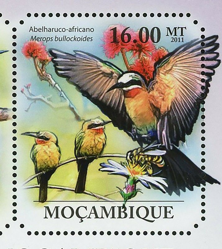 Bee Eaters Stamp Birds Merops Pusillus Merops Apiaster S/S MNH #4868-4673