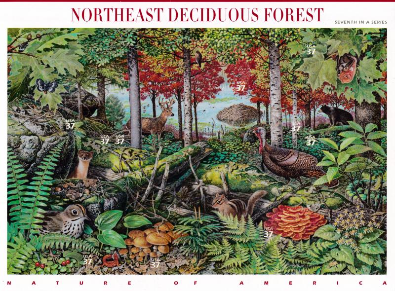 United States 2005 Northeast Decidous Forrest  Nature of America Sheet VF/NH