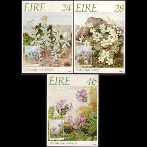 IRELAND 1988 - Maximum Cards - 720-2 Flowers Conservation Set of 3