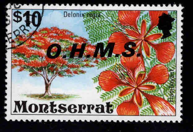 Montserrat Scott o19 used CTO official flower stamp