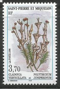 ST. PIERRE & MIQUELON 625, MNH STAMP, FLORA - VERTICULLATA & JUNIPERINUM