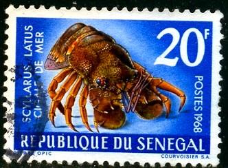 Marine Life, Sea Cicada, Senegal stamp SC#303 used