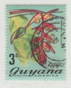 Guyana 135 flower
