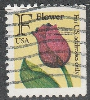 United States    2520    (O)    1991