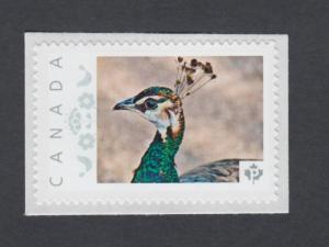 lq. PEACOCK = Exotic bird = Postage stamp MNH Canada 2014 [pp9exb7/7]