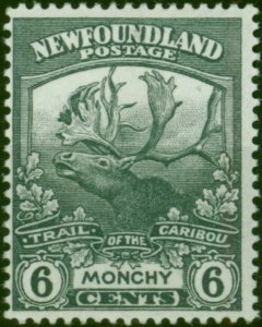 Newfoundland 1919 6c Slate-Grey SG135 Fine & Fresh MM