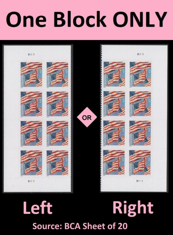US 5654 Flags forever plate block B1111 (8 stamps from BCA sheet) MNH