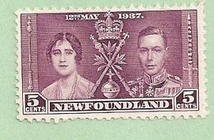 Newfoundland  Scott  232  Mint 