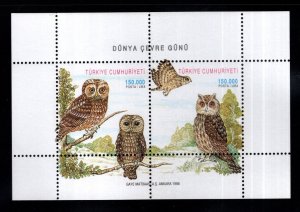 TURKEY Scott 2703 MNH** 1998 World Environment Owl souvenir sheet