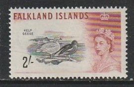 1960 Falkland Islands - Sc 139 - MNH VF - 1 single - Kelp Geese