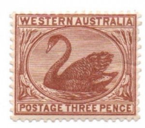 Western Australia 40a Mint hinged