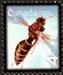 Canada 2406 - Mint-NH - 4c Paper Wasp (2010)