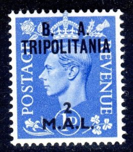 Tripolitania - Br Occupation --  B.A  -1951 -  T  28 -  Mint Never Hinged -  . 
