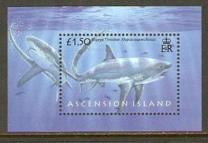 Ascension #940 NH Sharks SS