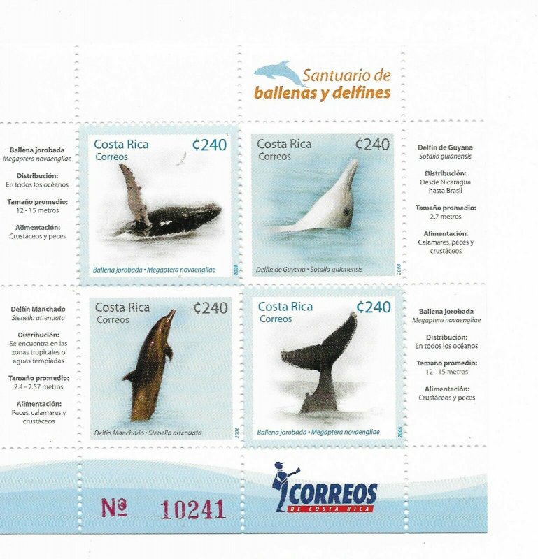 COSTA RICA 2008, WHALES AND DOLPHINS, MARINE FAUNA, MINIATURE SHEET MNH 