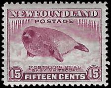 NEWFOUNDLAND   #262 MNH (2)