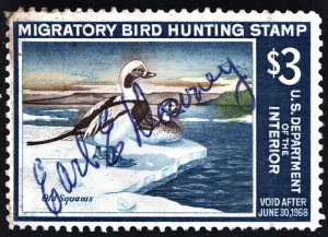 RW34 $3.00 Old Squaw Ducks Stamp (1967) Signed