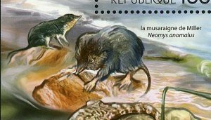 Ecosystem of Mediterranean Sea Stamp Rhinolophus Euryale S/S MNH #4232 / Bl.651
