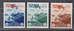 Somalia Italian Colony Aircraft over Oazis 1934 MLH Scott C1 - C3 CV $15.75