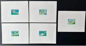 1977 Congo Mi. 564 - 568 Luxury Proof Fish Fish Marine Wildlife-