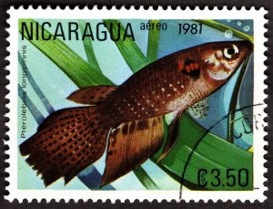 1981, Nicaragua, 3.50c, Used CTO, Sc C983