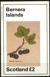 {B142} Bernera Scotland Fruits Black Currants S/S 2£ MNH Cinderella !!