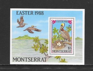 BIRDS - MONTSERRAT #676 BROWN PELICAN  MNH