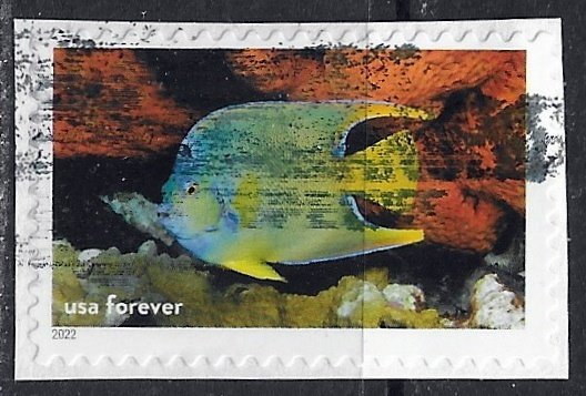 US ~ Scott # 5713i ~ Used on paper ~ National Marine Sanctuaries