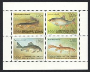 Kyrgyzstan Fish 4v sheetlet 1994 MNH SG#43-46 MI#44-47