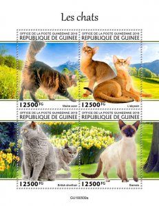 Guinea 2019 MNH Cats Stamps Maine Coon Abyssinian British Shorthair Cat 4v M/S