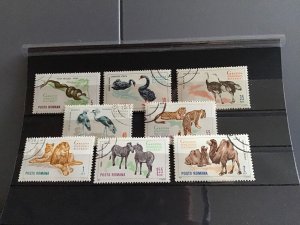 Romania 1964 Zoo Animals  stamps   R23247