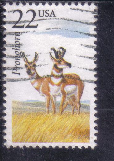  2313 - .22 North American Wildlife used f-vf. 